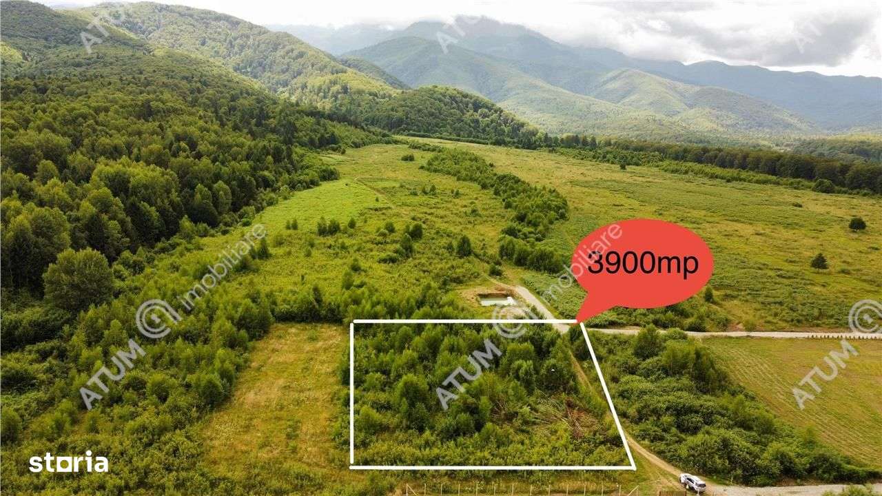 Teren intravilan 3900 mp Porumbacu de Sus, Sibiu - Imagine principală: 1/16