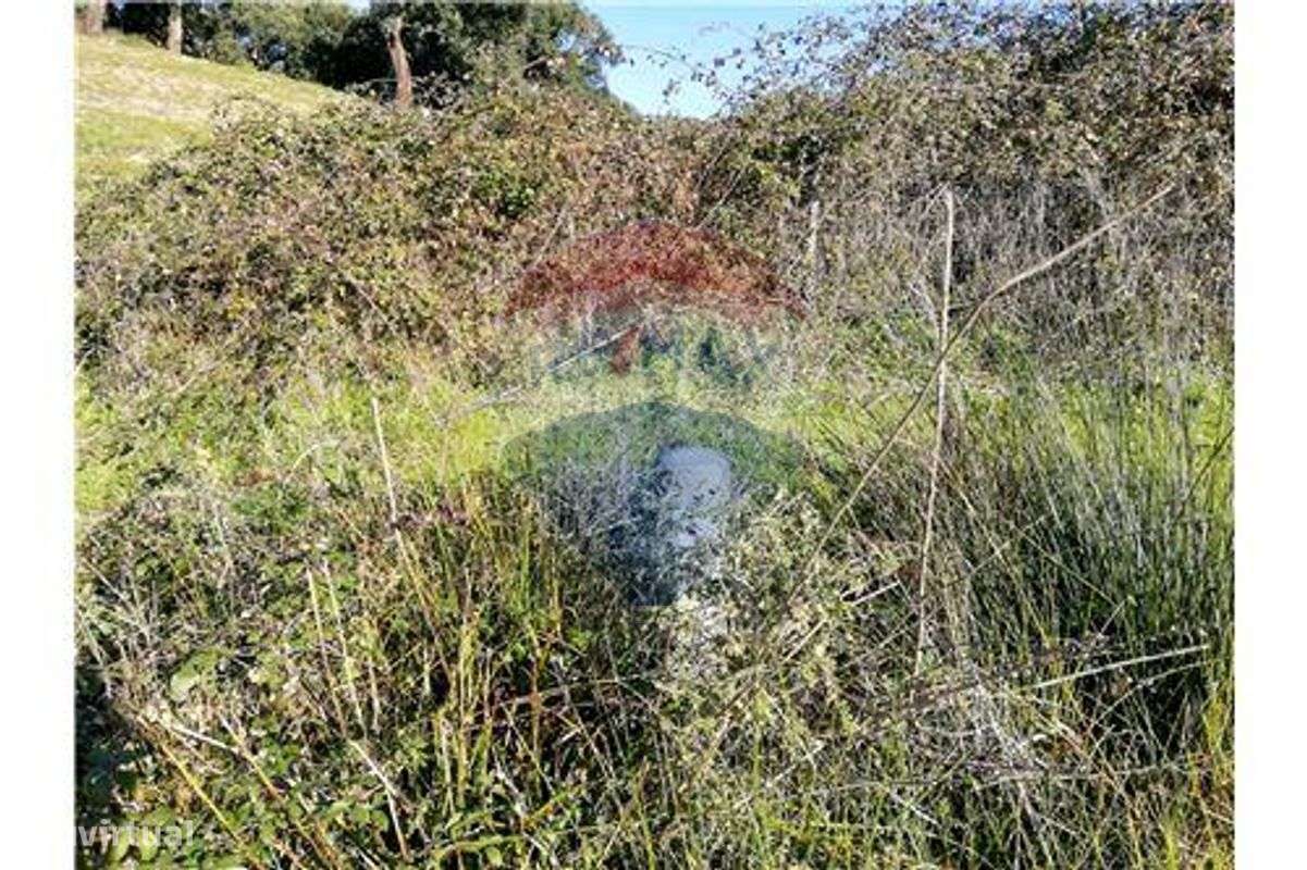 Terreno  para venda - Grande imagem: 5/13