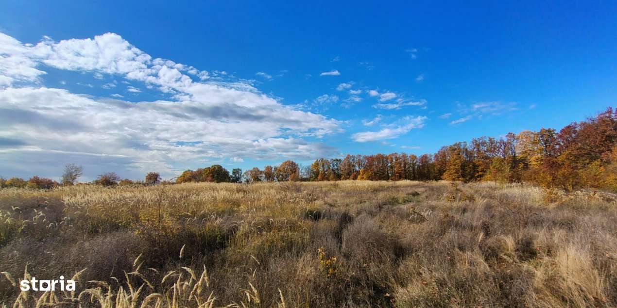 Terenuri intrevilane Comuna Mosoaia - Imagine principală: 4/10