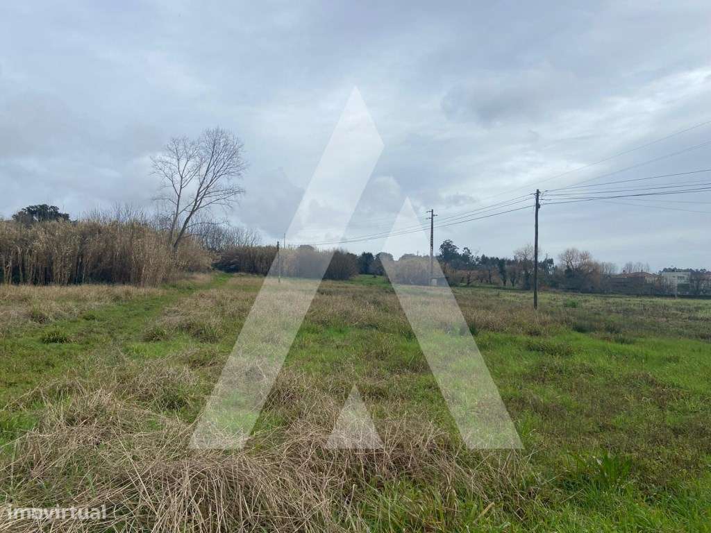terreno na Amoreira da Gândara em Anadia - Grande imagem: 3/6