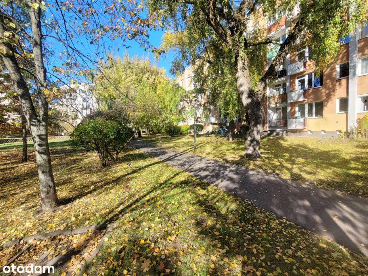 3pok. STARY ŻOLIBORZ | PO REMONCIE | cegła, 1966r. | 2 piwnice | METRO-3