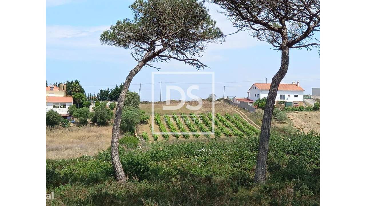 Terreno Rústico em UDF de São João das Lampas e Terrugem - Grande imagem: 4/23