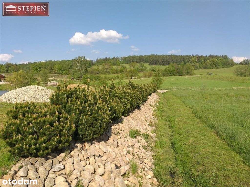 Działka, 6 300 m², Sosnówka - Pełny obrazek: 4/9