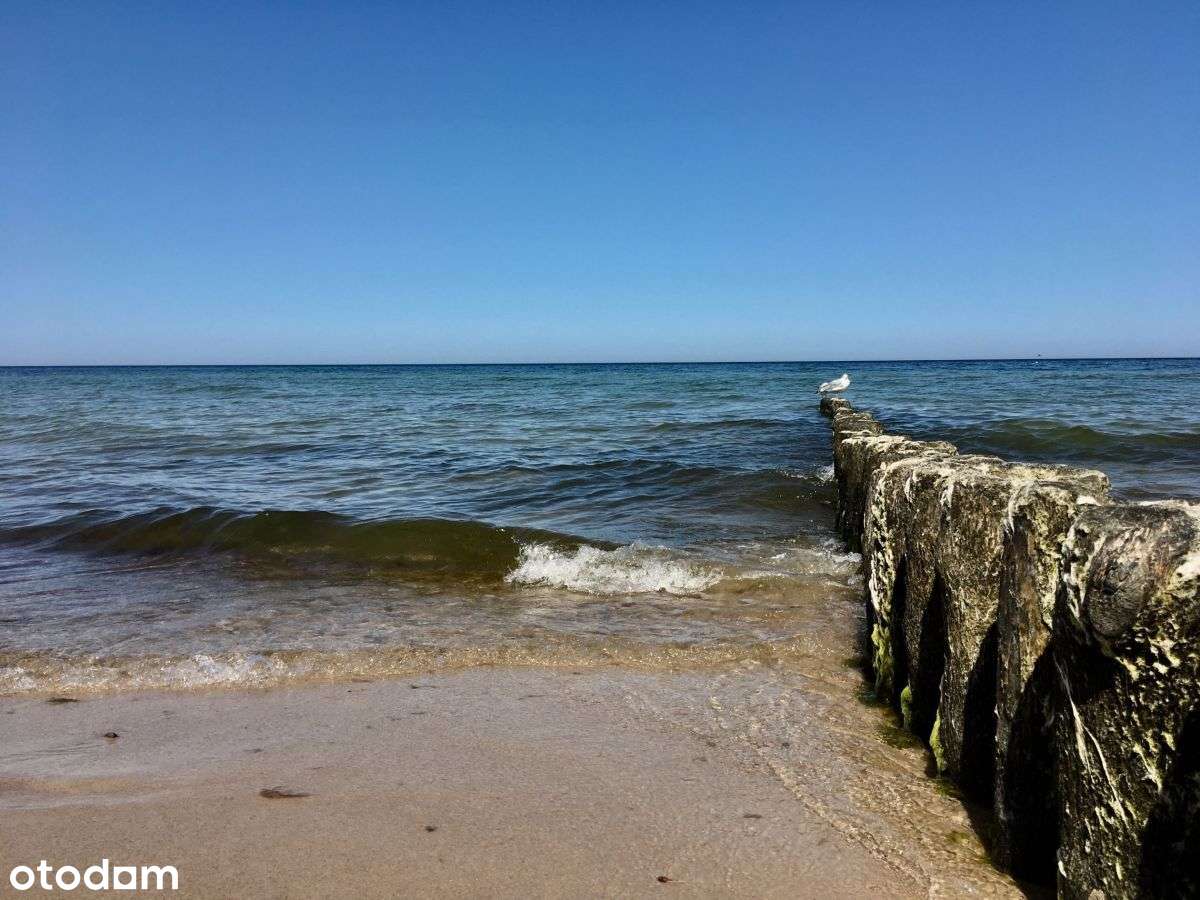 Apartament nad morzem - Gąski, wysoki standard-16