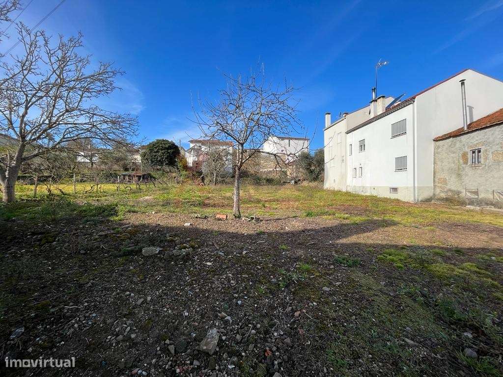 Quinta à venda perto de Seia - Grande imagem: 4/17