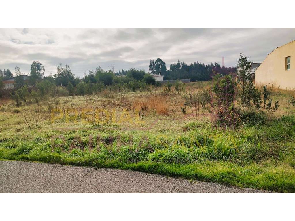 Terreno para construção com 2 artigos- Calvão-Vagos-Aveiro - Grande imagem: 4/8