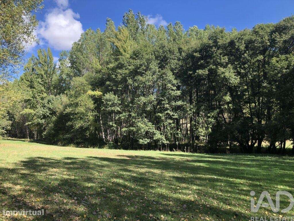 Quinta em Parâmio de 1006 m2 - Grande imagem: 2/7