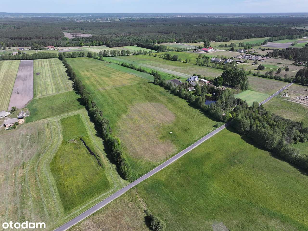 Działka Rąpin las jeziora Puszcza Notecka - Pełny obrazek: 4/14