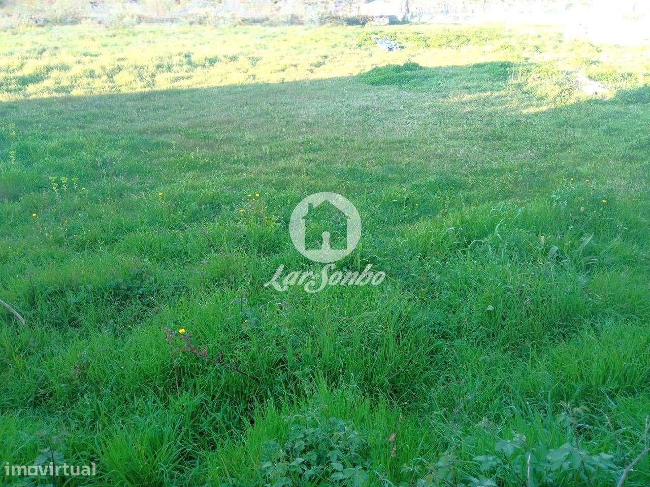 Terreno para construçao de moradia - Grande imagem: 4/14