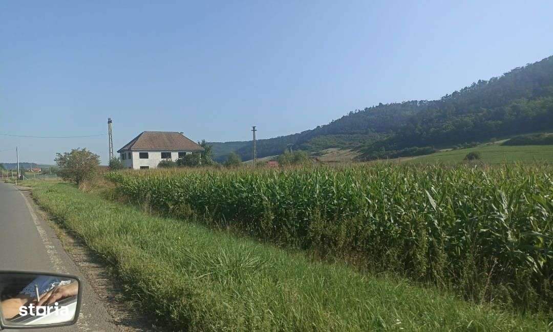 Casa cu etaj,300 mp,teren 4200 mp,perfect drept, Voiniceni - Imagine principală: 4/4