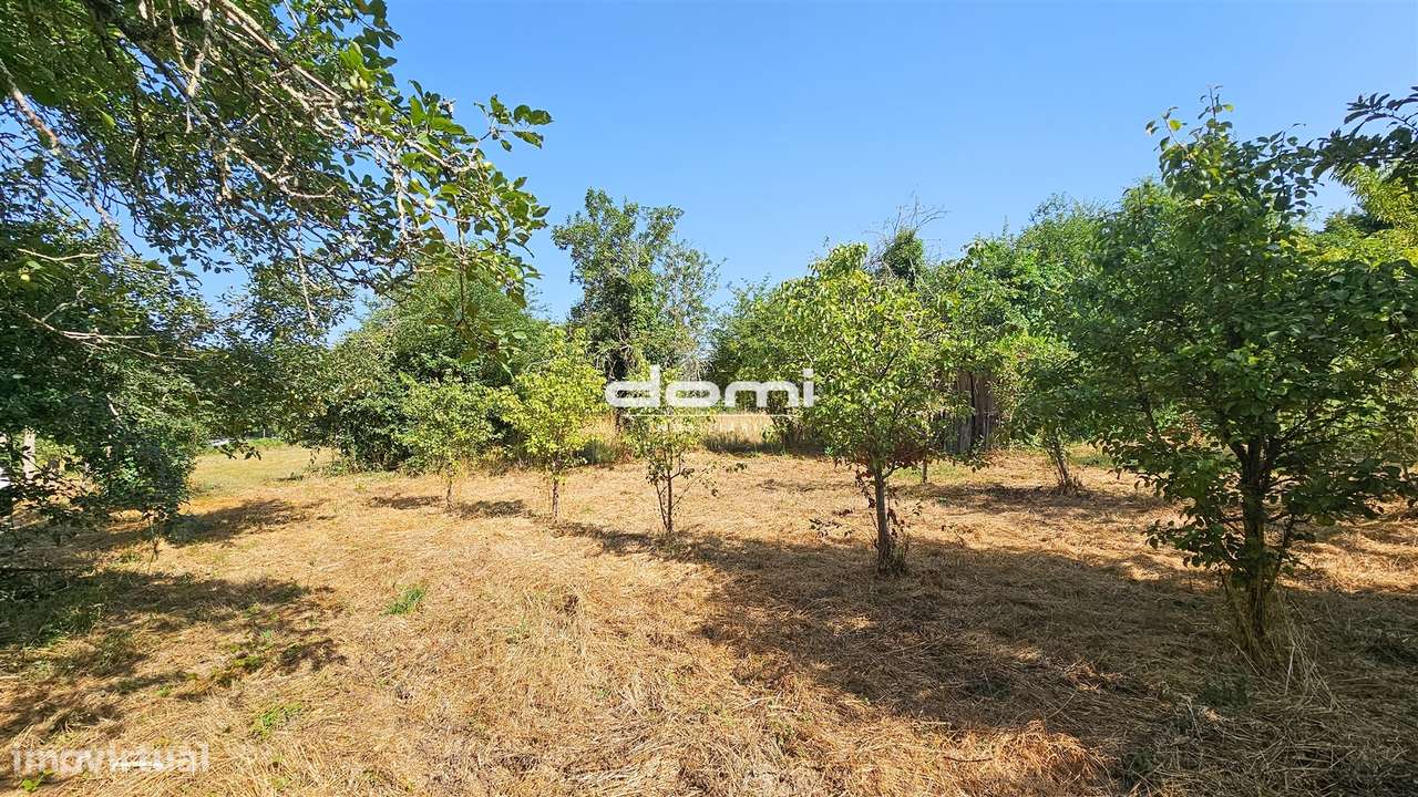 Terreno agrícola nas margens do Rio Sul – São Pedro do Sul &#127807; - Grande imagem: 5/11