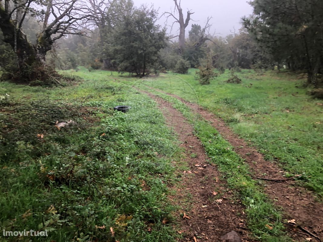 Terreno  para venda