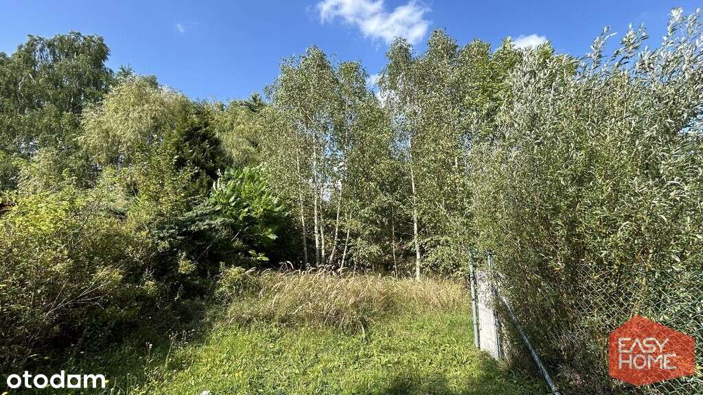 Cudowne miejsce w pobliżu jeziora i lasu-8