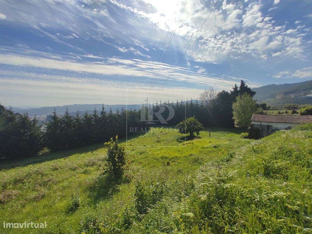 Quinta com 15000m2 em Santo Tirso-5