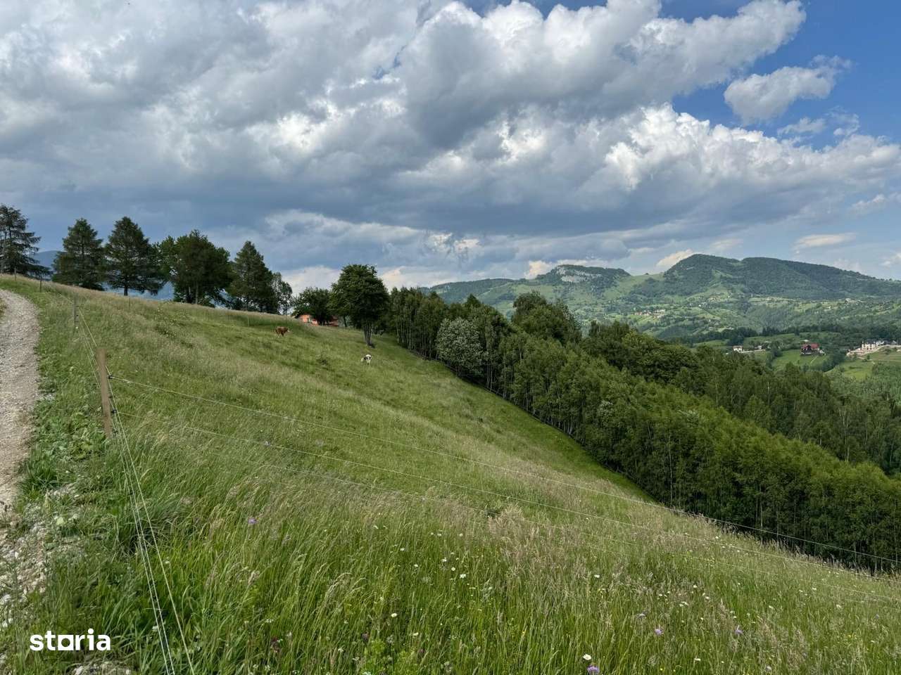 Teren inconjurat de natura de vanzare in Pestera - Imagine principală: 3/11