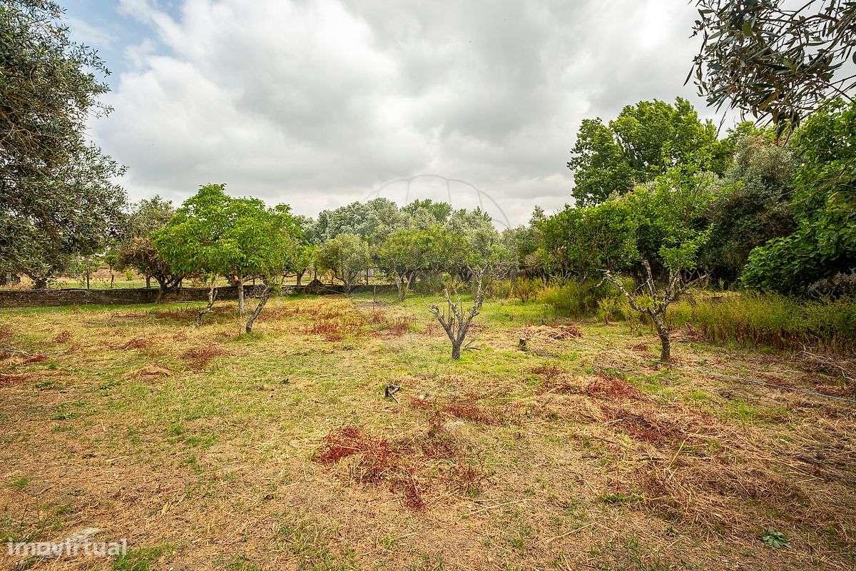 Terreno  para venda - Grande imagem: 4/11