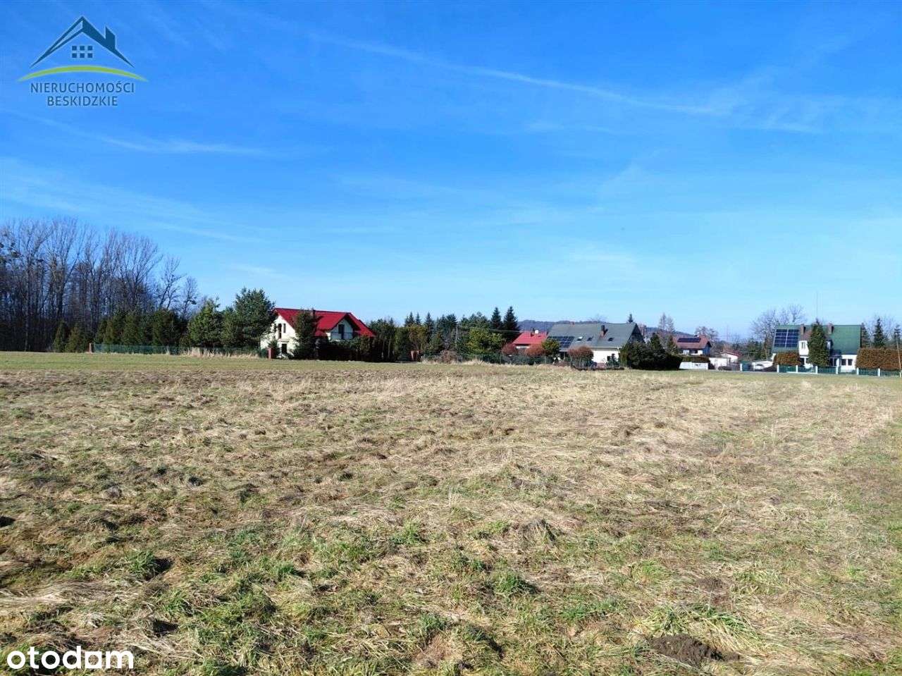 Cisownica k/Ustronia ... a wokół pola i las...-3