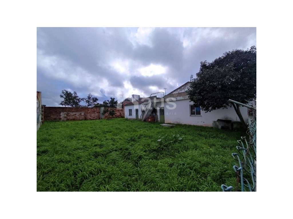 Lote terreno com área de 335m2 - Bairro Alentejano - Grande imagem: 2/5