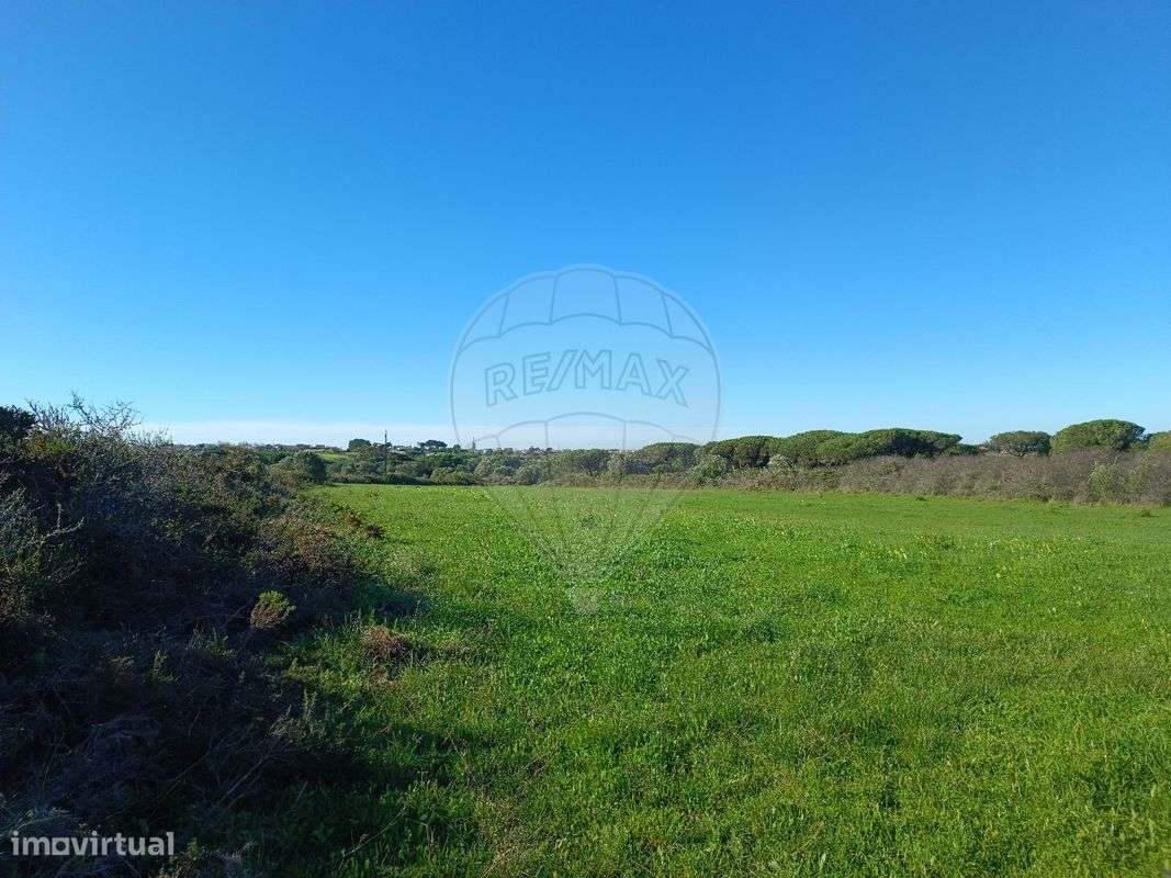 Terreno  para arrendamento - Grande imagem: 2/5