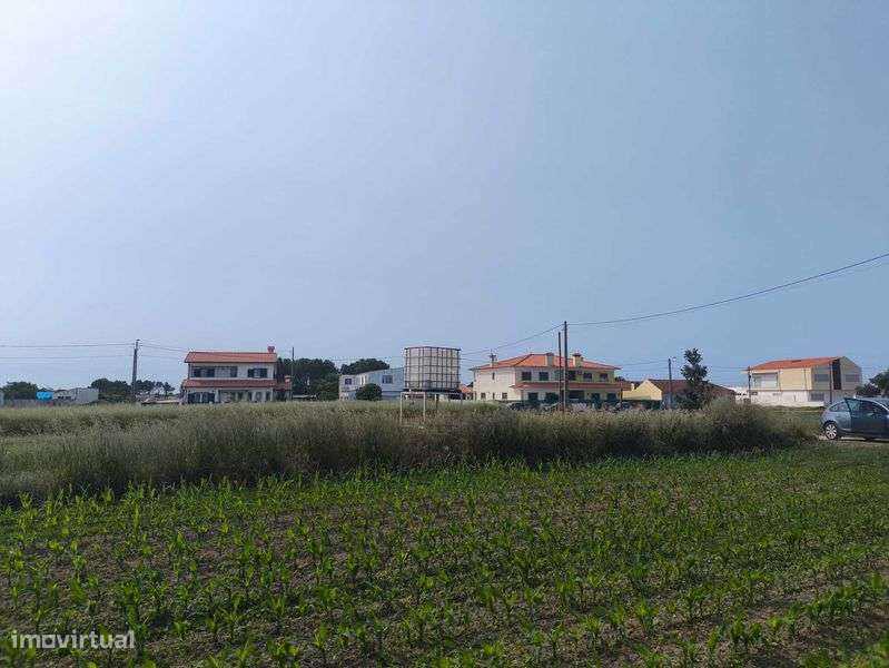 Terreno agrícola Ílhavo/Aveiro - Grande imagem: 4/8