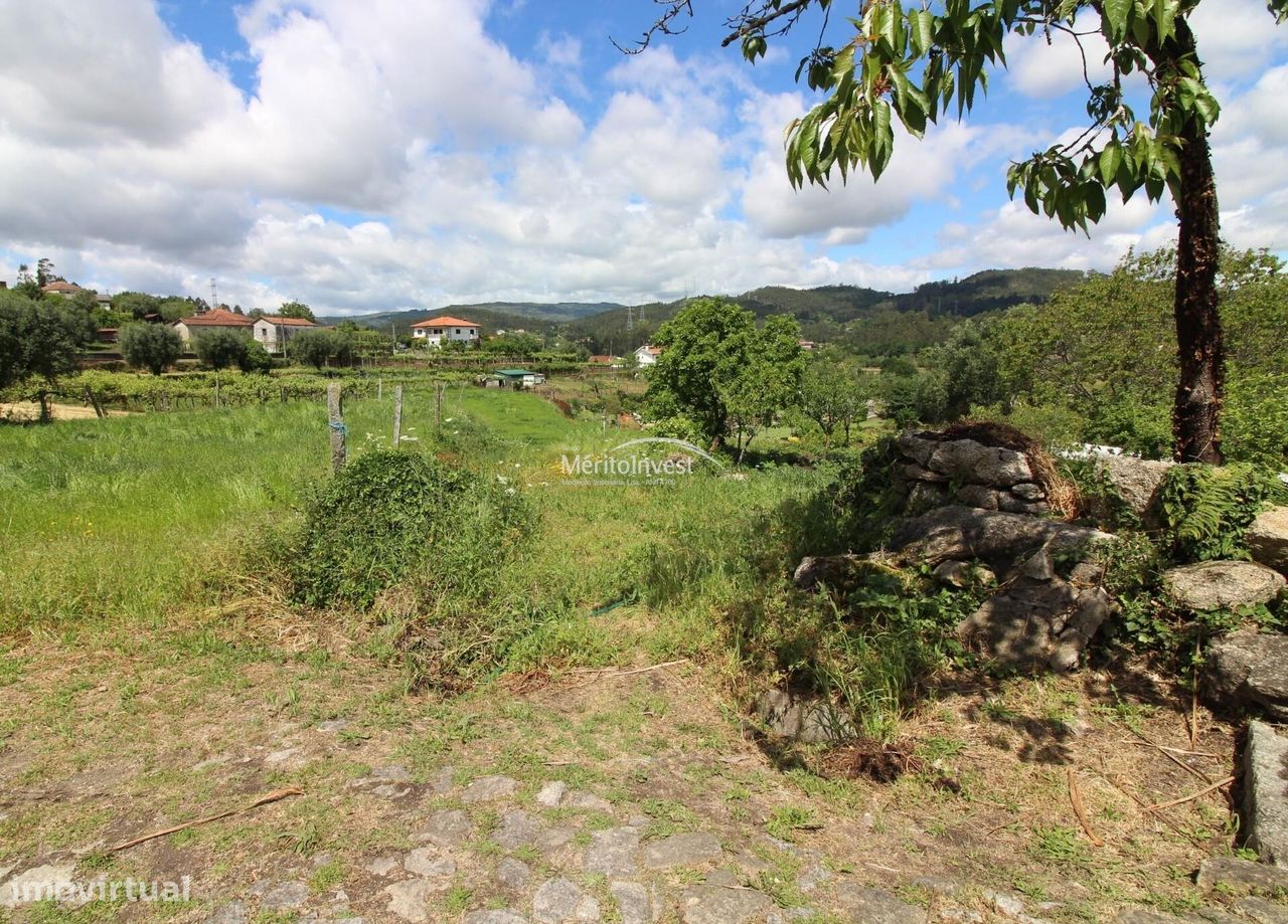 Terreno agrícola em Panque