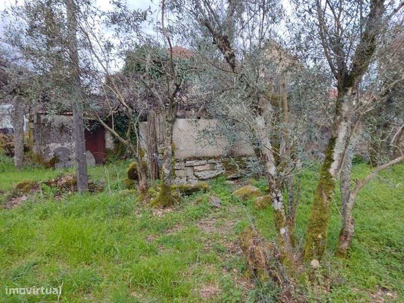 Casa para restauro com terreno - Grande imagem: 5/8