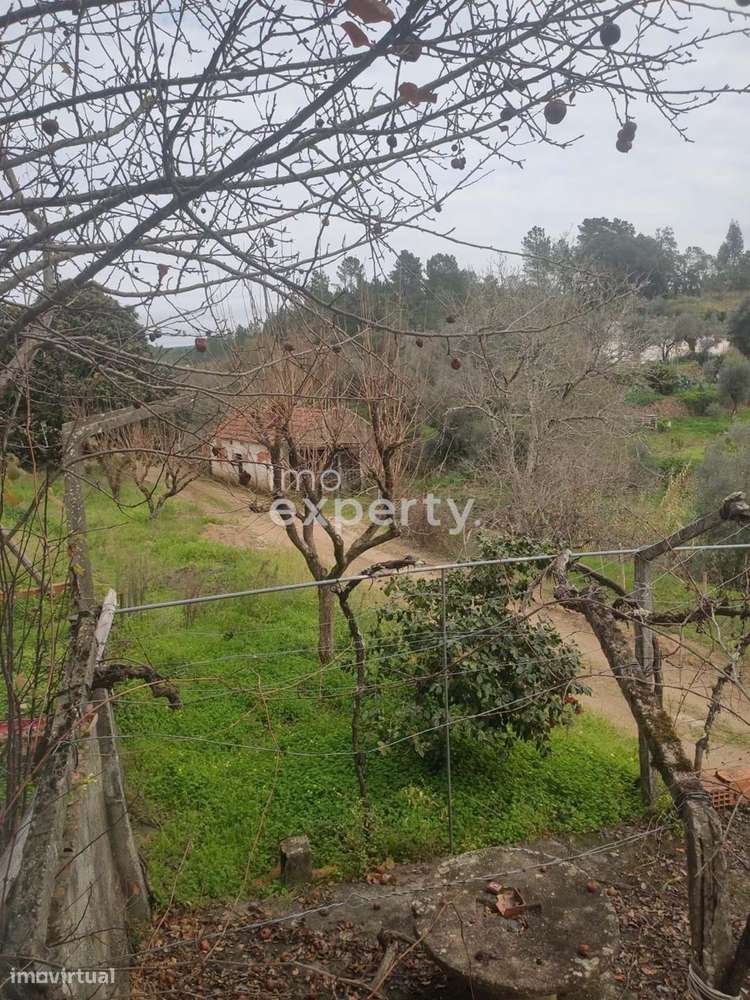 Moradia para renovar no Sardoal, Santarém - Grande imagem: 3/21