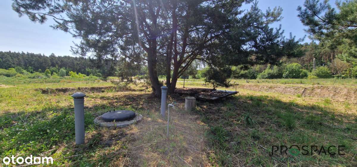 działka budowlana z rozpoczętą budową- Skoki - Pełny obrazek: 5/9