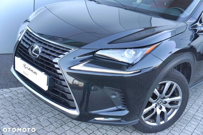 Lexus NX 300 Comfort AWD - 6