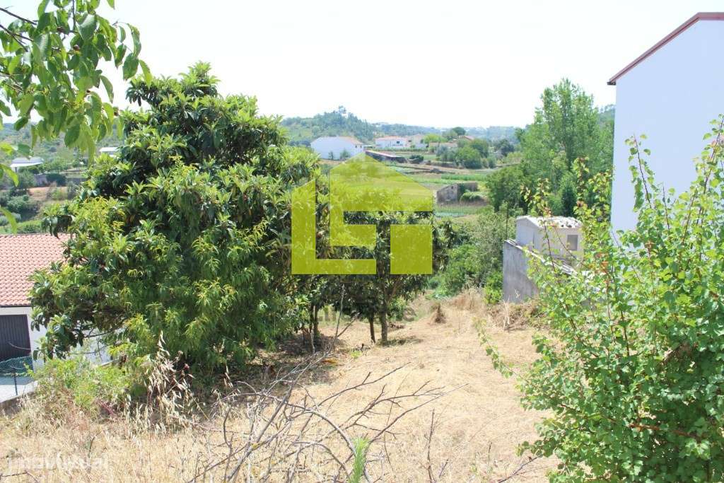 Terreno - Grande imagem: 5/18