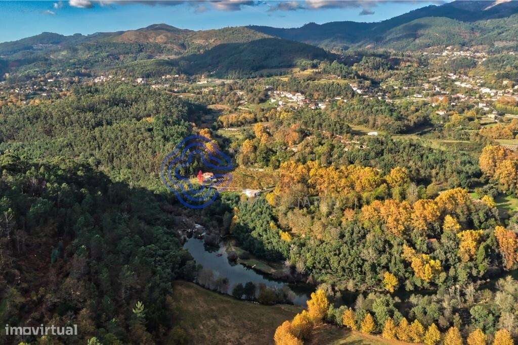Quinta do Adigueiro – Charme, natureza e produção de vinho junto ao ri - Grande imagem: 4/60