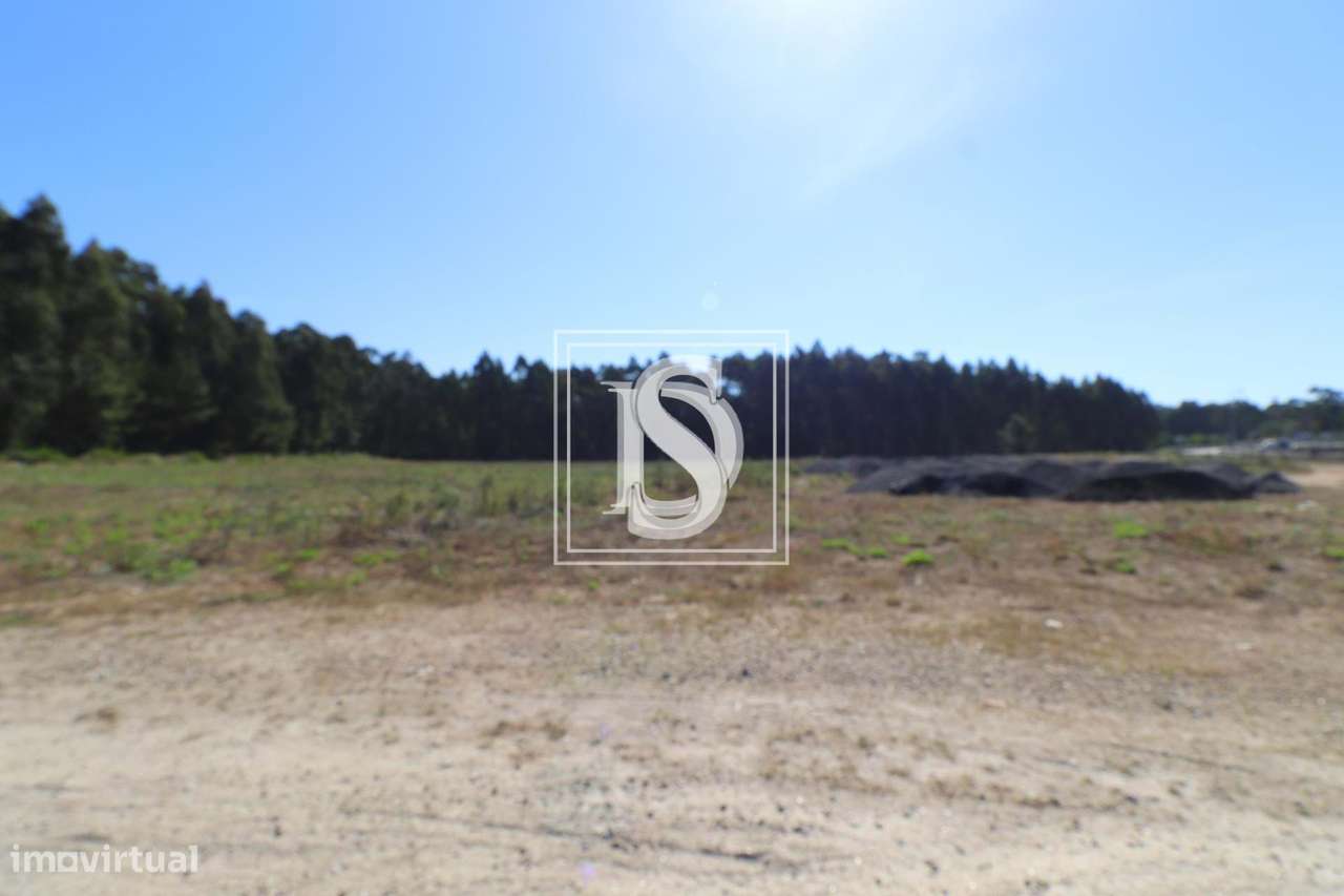 Terreno Não definido em UDF de Palmeira de Faro e Curvos - Grande imagem: 4/4