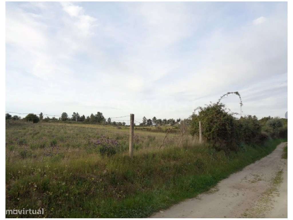 Excelente Terreno Rústico com Poço e Cultura Arvense em São Miguel ... - Grande imagem: 4/6
