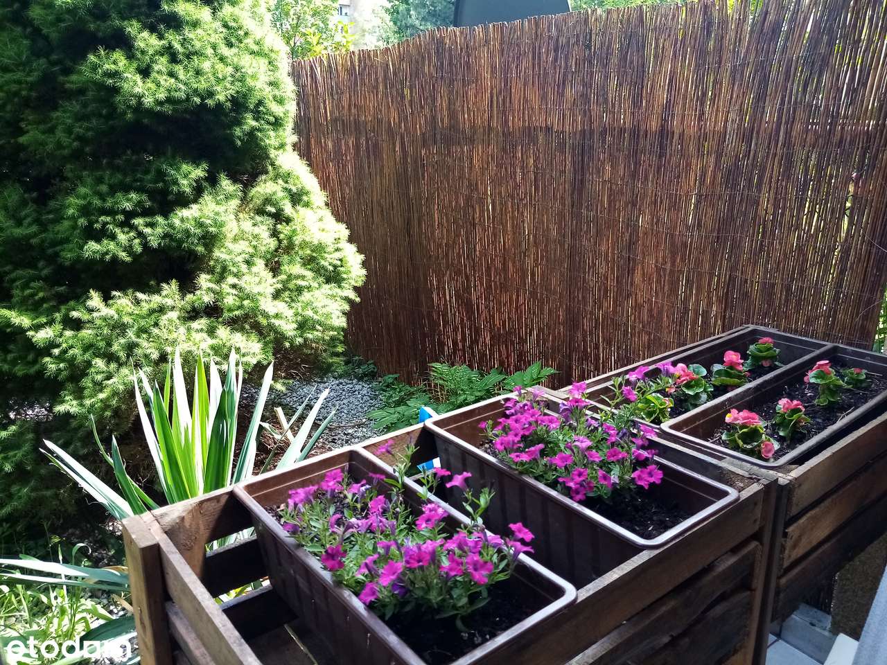 Mieszkanie z tarasem i ogródkiem przy lesie |Rezerwacja Wstępna| - Pełny obrazek: 1/20