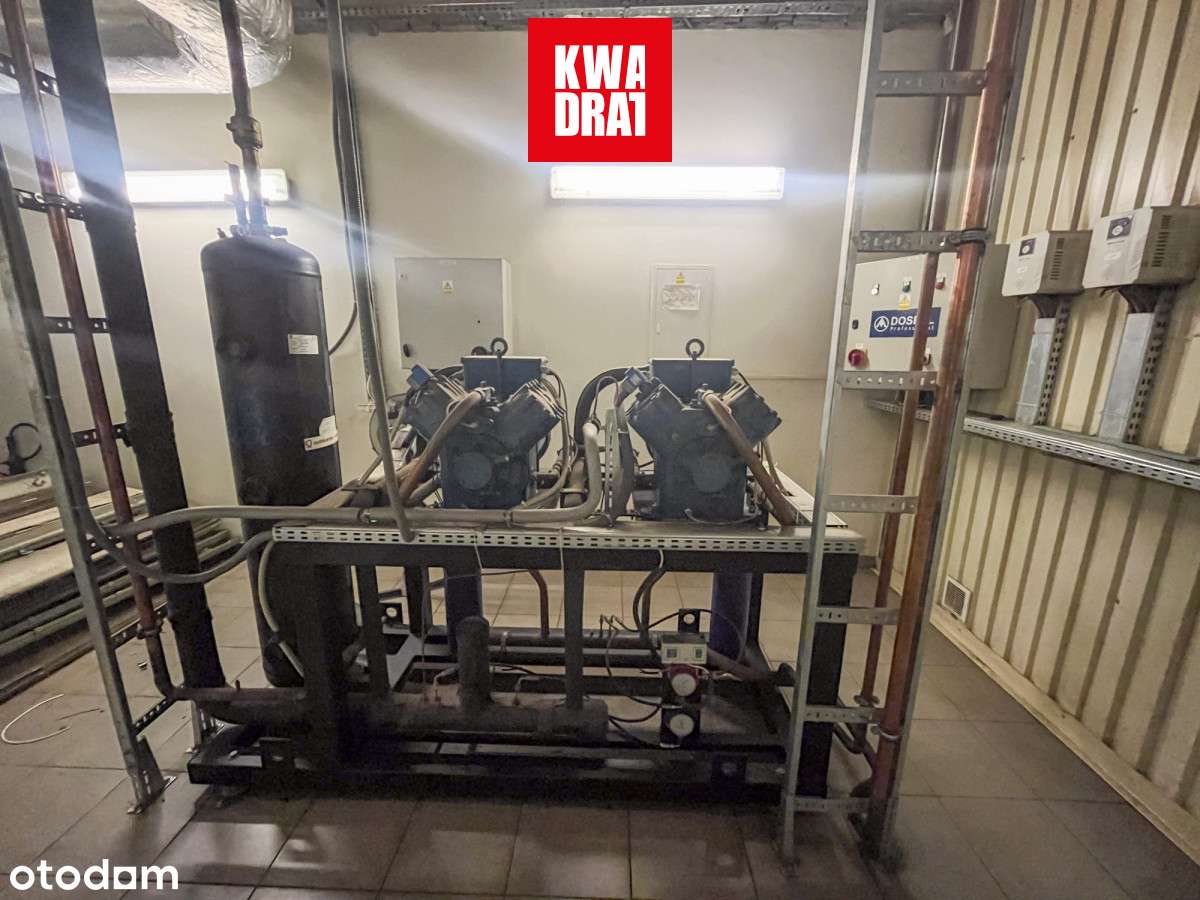 Investment Opportunity: Premium Industrial Complex-19