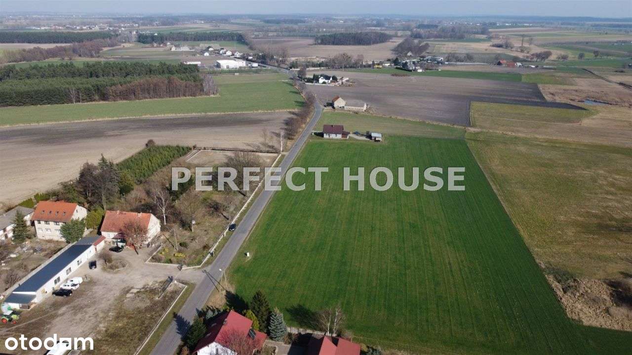 Osiedle dla dewelopera, Nowy Dwór, Krzywiń - Pełny obrazek: 4/7