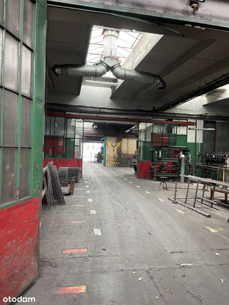 Hala Magazynowa/ produkcyjna - Pełny obrazek: 5/7