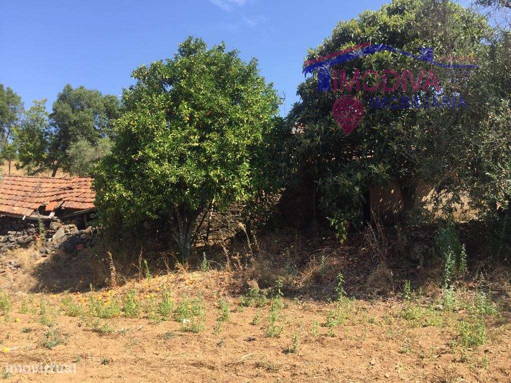 Casa em xisto para recuperar - Grande imagem: 5/14