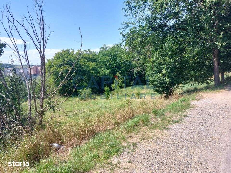 Teren intravilan construibil - Imagine principală: 3/6