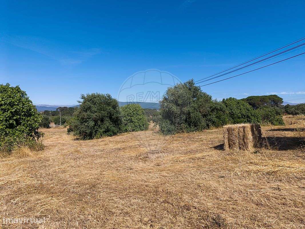 Terreno  para venda-7