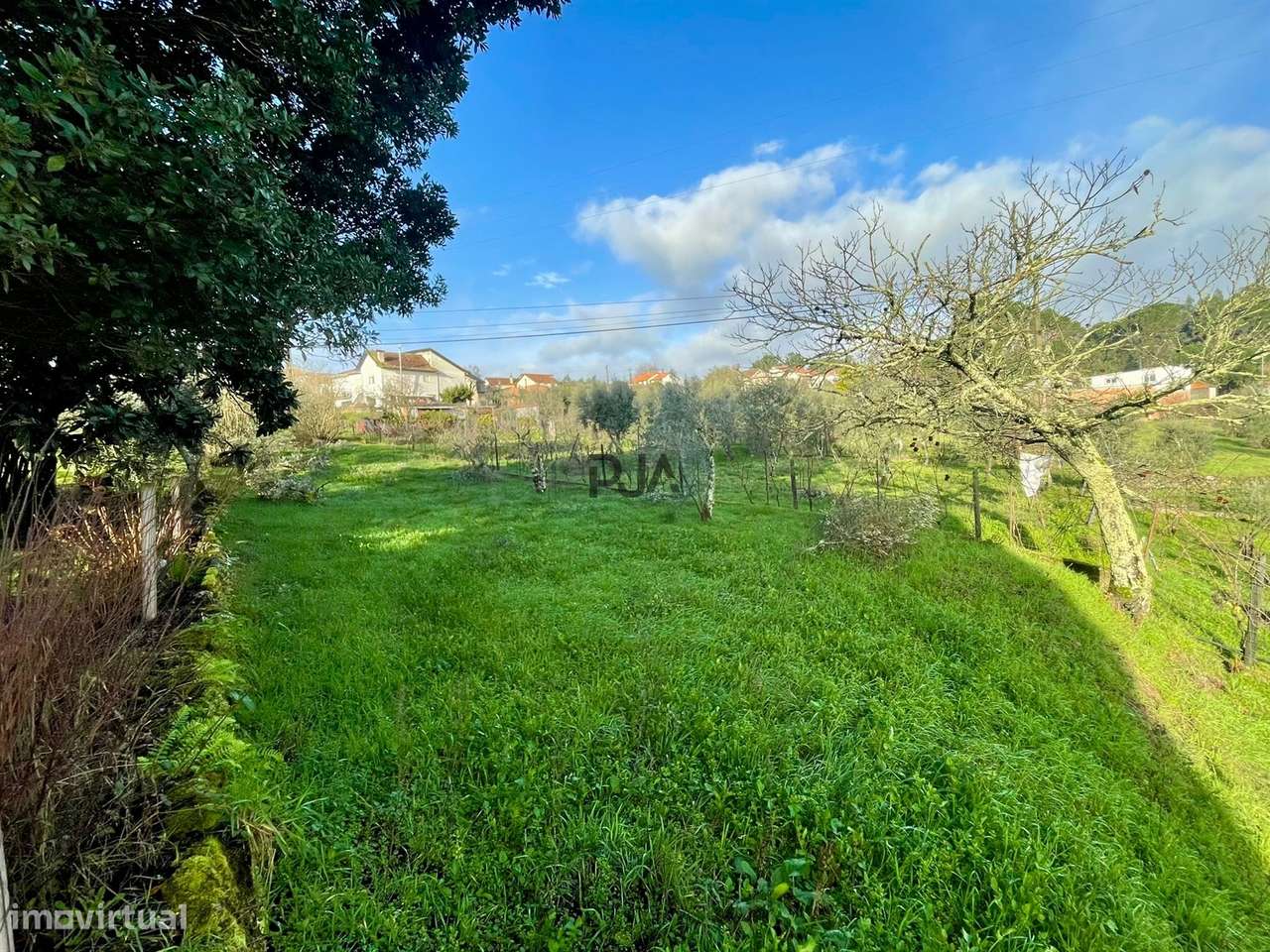 Terreno Misto em Teomil, Tondela - Grande imagem: 4/8