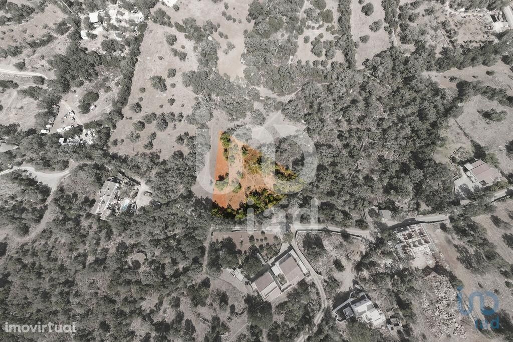 Terreno Agrícola em Faro de 1920,00 m2