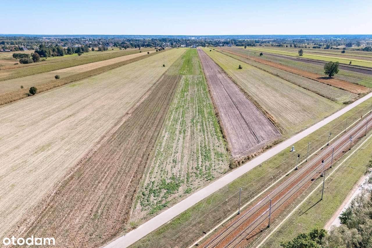 Ziemia dla rolnika | Działka rolna | 3,29 ha w tym 79% klasa III - Pełny obrazek: 4/9