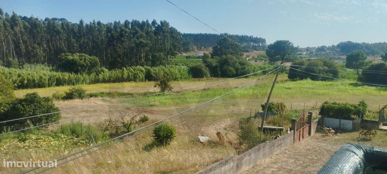 Venda de Quinta com Moradia e Armazém em Alcoentre . Azambuja . Lisboa-14