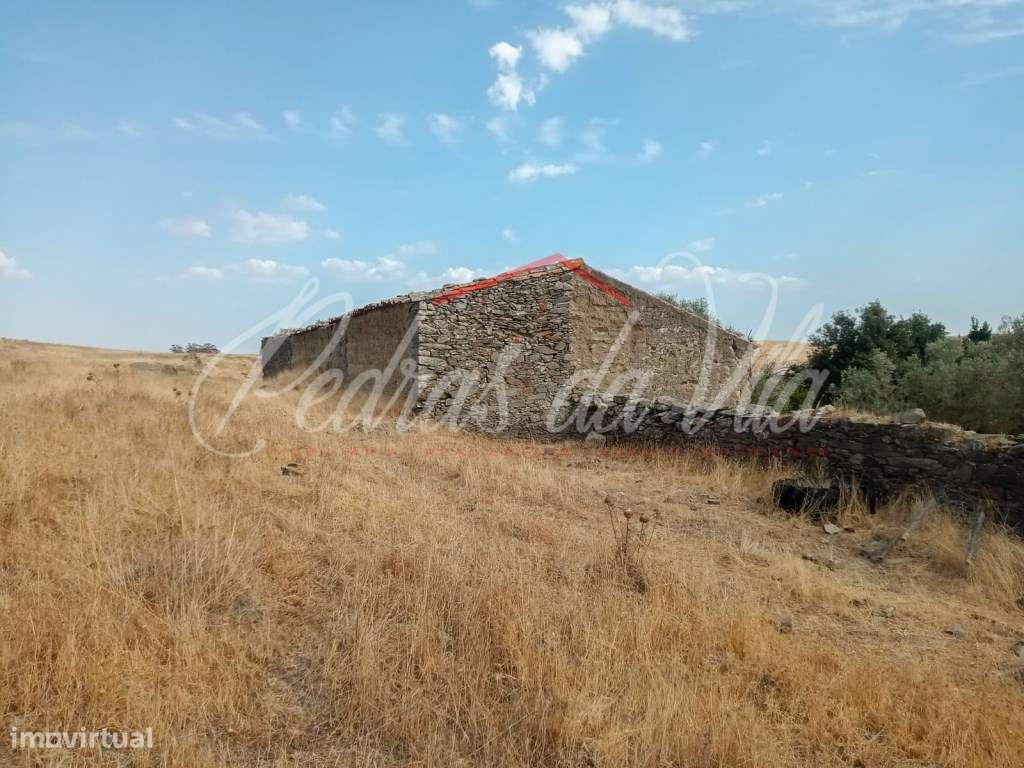 Propriédade de 119ha com varias ruinas - Castro Verde-22