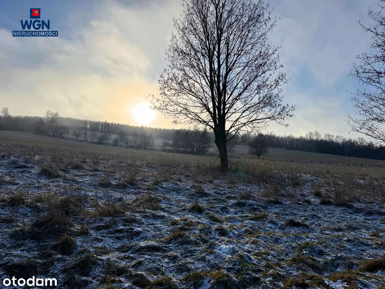 Działka budowlana z pięknymi widokami pod lasem.-5