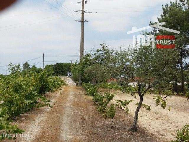 Terreno em Coruche com 34.074m2 - Grande imagem: 4/13