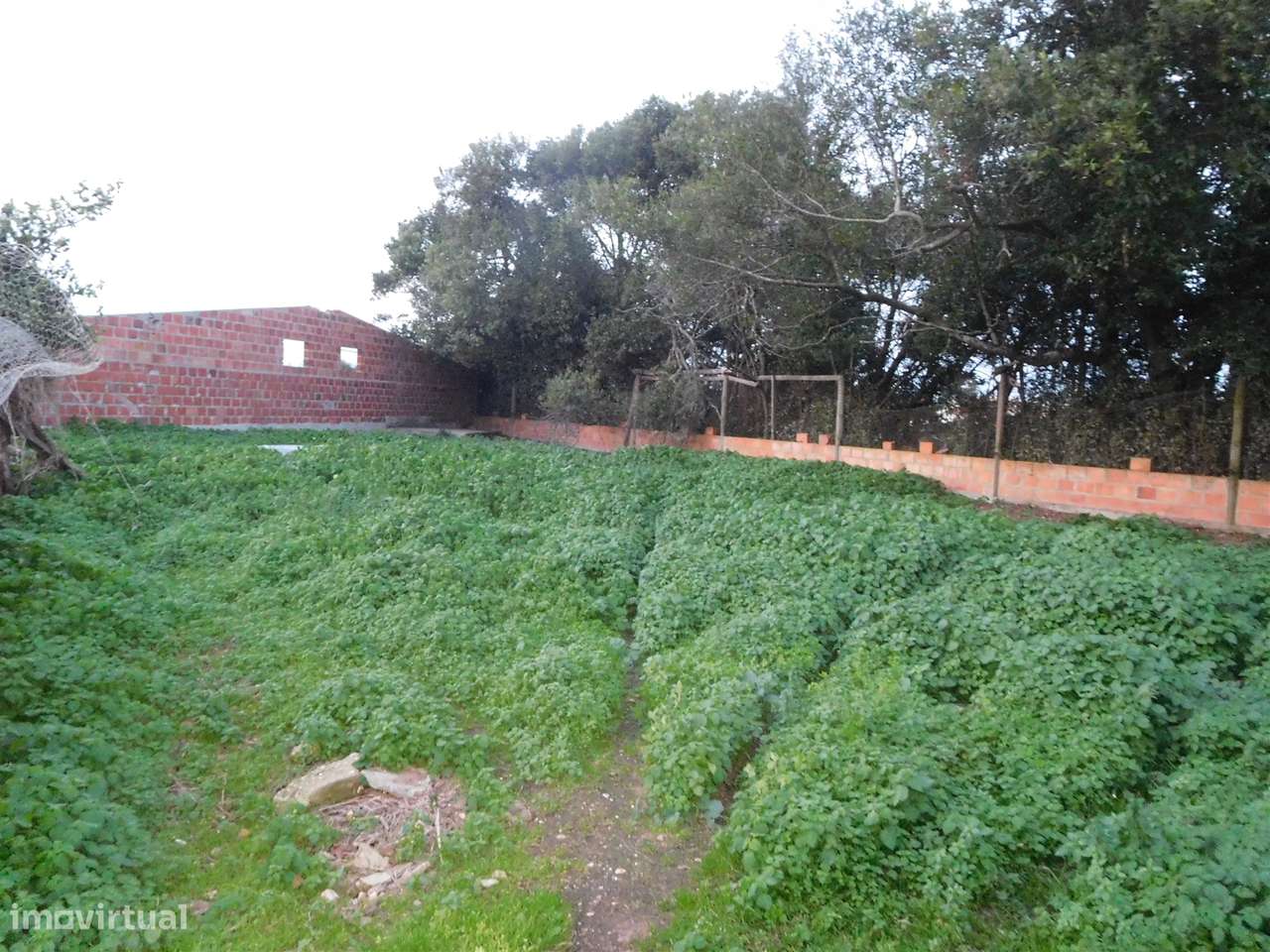 Quinta com Moradia T5 / Restaurar / Carvide / Leiria-19