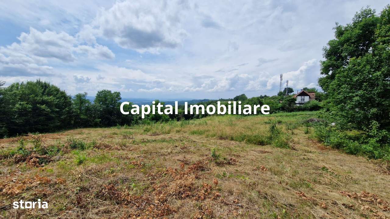 Teren Baia Sprie: 5143 mp, Parcelabil, Comision 0! - Imagine principală: 2/7