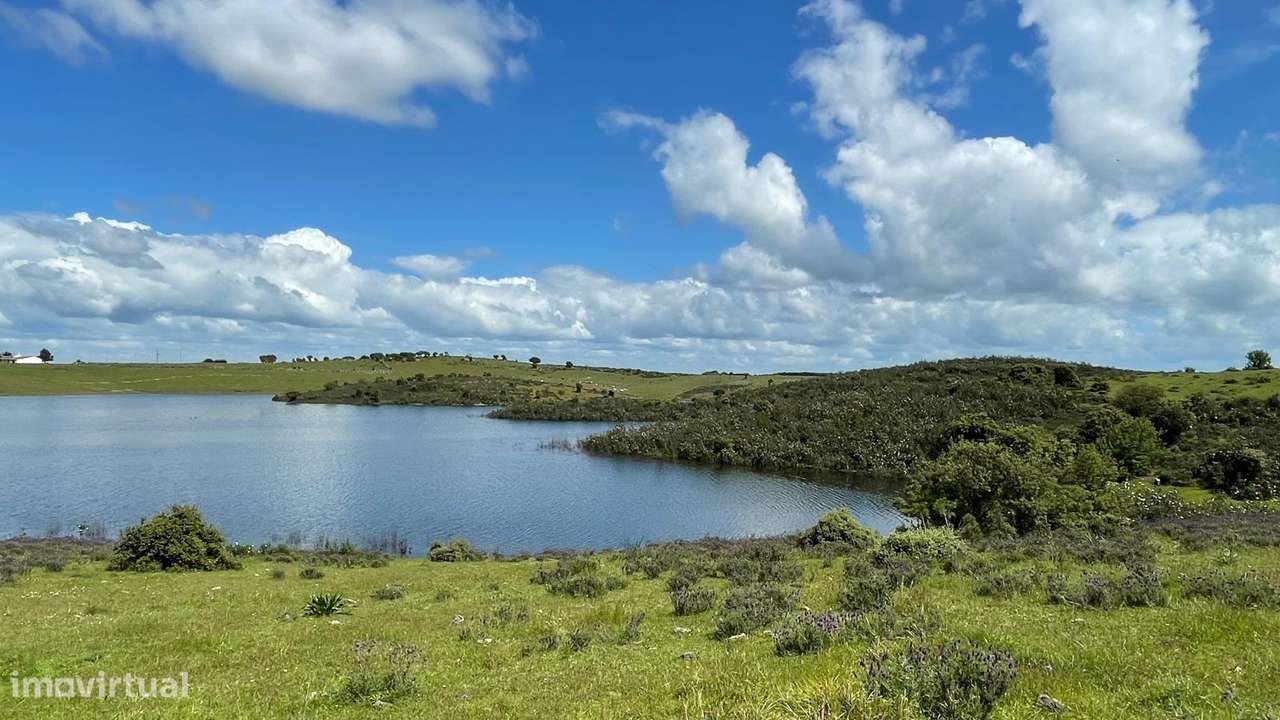 Terreno na Margem Alqueva - Grande imagem: 4/26